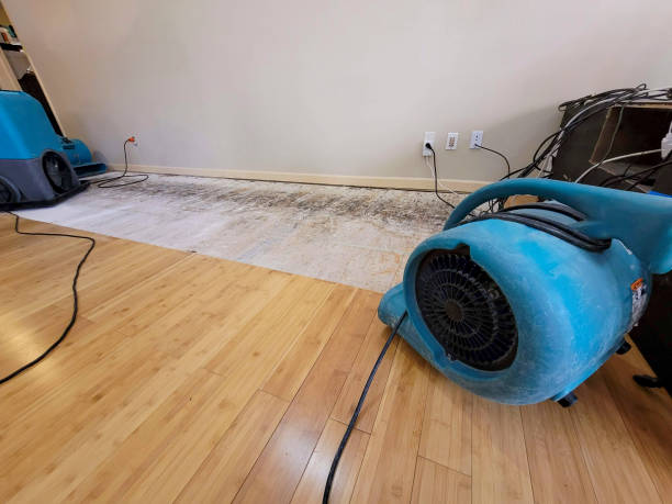 Professional Water Damage Repair technician working in Beaverton, OR